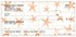 Sea Breeze Checks Image 1