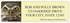 San Diego Zoo Owls Address Labels Image 1